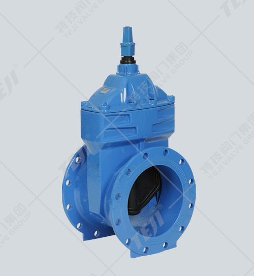 傳動帽彈性座封閘閥