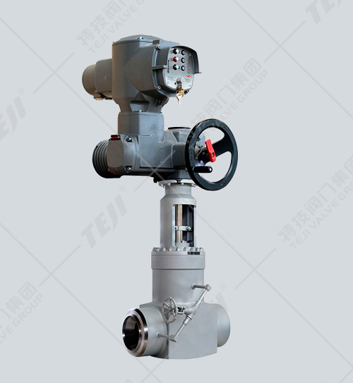 電動鍛造高壓閘閥