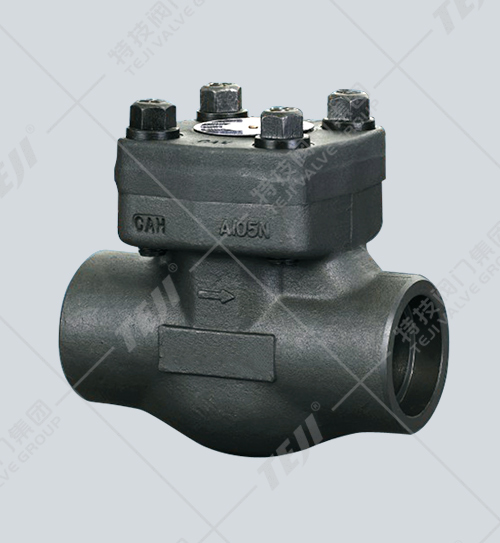 鍛鋼內螺紋、承插止回閥